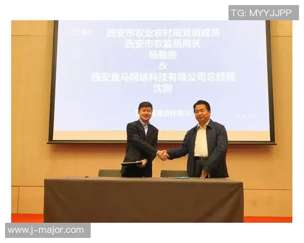 探索西安篮球队的进攻体系与战术创新解析